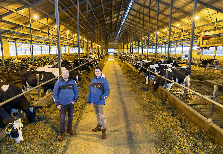 De broers Ralph en Bas Engelen in de melkveestal. De ligboxenstal telt 365 ligboxen en er is plek voor 200 koeien op stro.