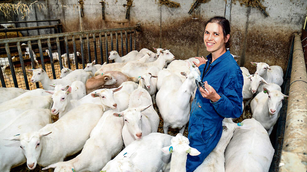 Geitendierenarts Shaula Bouwman: „We zitten op een bom en geitenhouders zijn er niet van doordrongen."