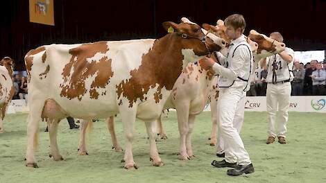 De familie Schrijver in actie op de NRM 2018. Deze Sabina 26 liep 1A in haar rubriek.