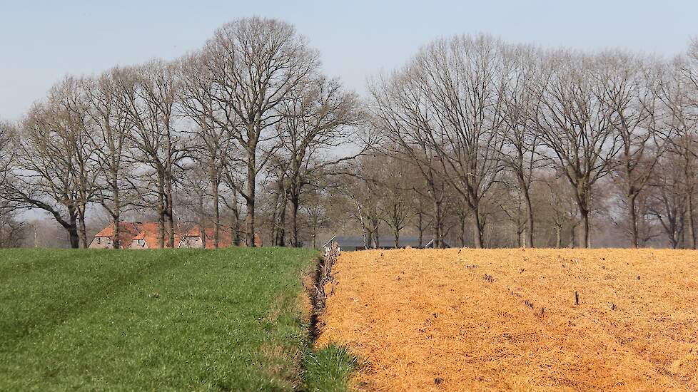 Ook in Nederland is glyfosaat het enige middel dat kan worden ingezet bij graslandvernieuwing.