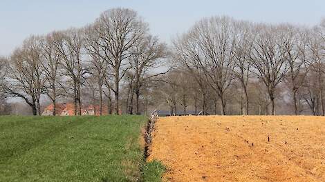 Ook in Nederland is glyfosaat het enige middel dat kan worden ingezet bij graslandvernieuwing.