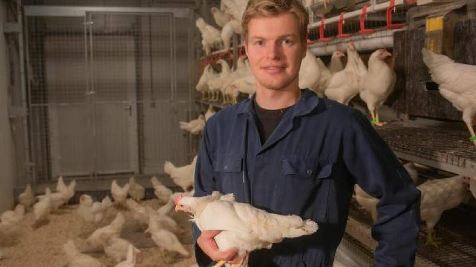 Peter van de Beek liep bij diverse bedrijven in de pluimveehouderij stage tijdens zijn studie waaronder Hendrix Genetics en kuikenbroederij en pluimveebedrijf Het Anker.