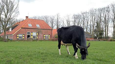 Sandra 2 van de familie Van de Riet sleepte twee jaar geleden de titel Beste Boerenkoe in de categorie jong in de wacht.