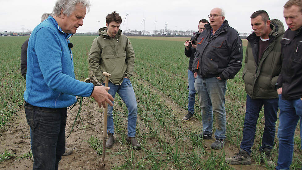 Veldbezoek met boeren in West-Brabant. Midden op de foto Bart Housmans van adviesbureau Boerenverstand.