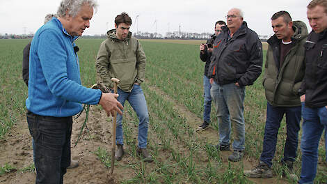 Veldbezoek met boeren in West-Brabant. Midden op de foto Bart Housmans van adviesbureau Boerenverstand.