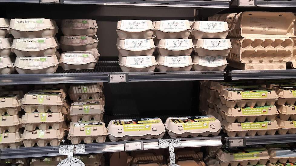 Hier en daar moeten consumenten noodgedwongen scharreleieren kopen in Duitse supermarkten omdat de biologische en vrije-uitloopeieren uitverkocht zijn. Beeld ter illustratie.