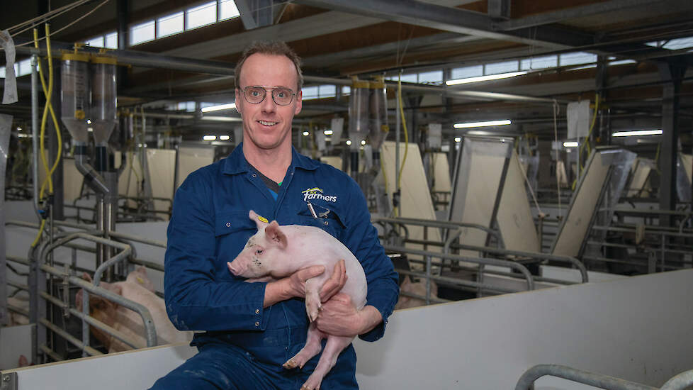 Luc Rotink bouwde een nieuwe kraamstal op zijn gesloten varkensbedrijf in het Achterhoekse Groenlo (GD). Dankzij de nieuwe kraamstal groeide zijn bedrijfsomvang vorig jaar van 550 naar 750 zeugen.