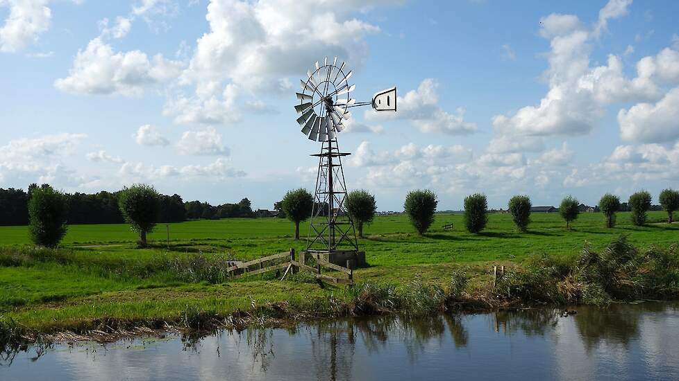 Windmolen op veenweidegebied