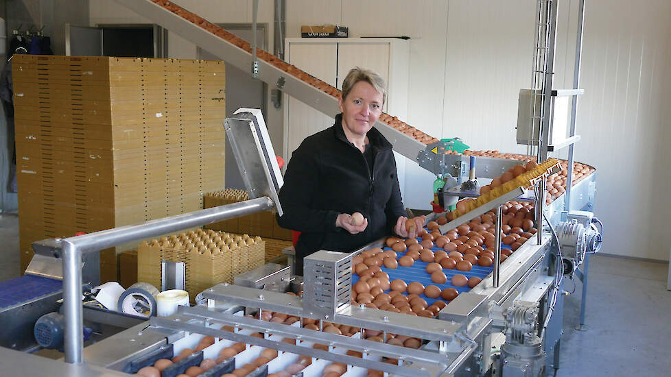 Mieke staat in voor het sorteren van de eieren en ze heeft hiervoor een Mopack 40 met capaciteit van 14 400 eieren per uur. Op een groot scherm kan ze steeds de beelden van de verschillende camera’s in en buiten de stal zien.