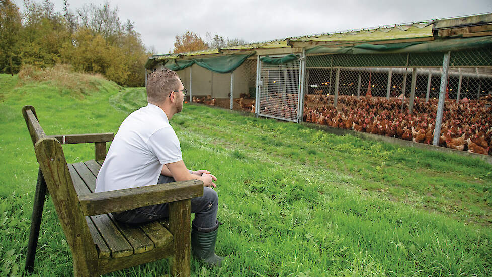 Bedrijfsleider Daniël van den Brink zit graag op een bankje om te kijken naar zijn ‘meisjes’. „Een kwartiertje voordat het licht uitgaat wordt het langzaam steeds stiller, dat is zó mooi om te zien.”