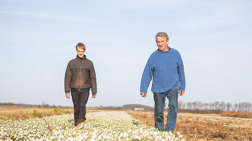 Bram (links) en Piet van Groningen: „Sneeuwklokjes is een meerjarige teelt, na twee jaar rooien we."