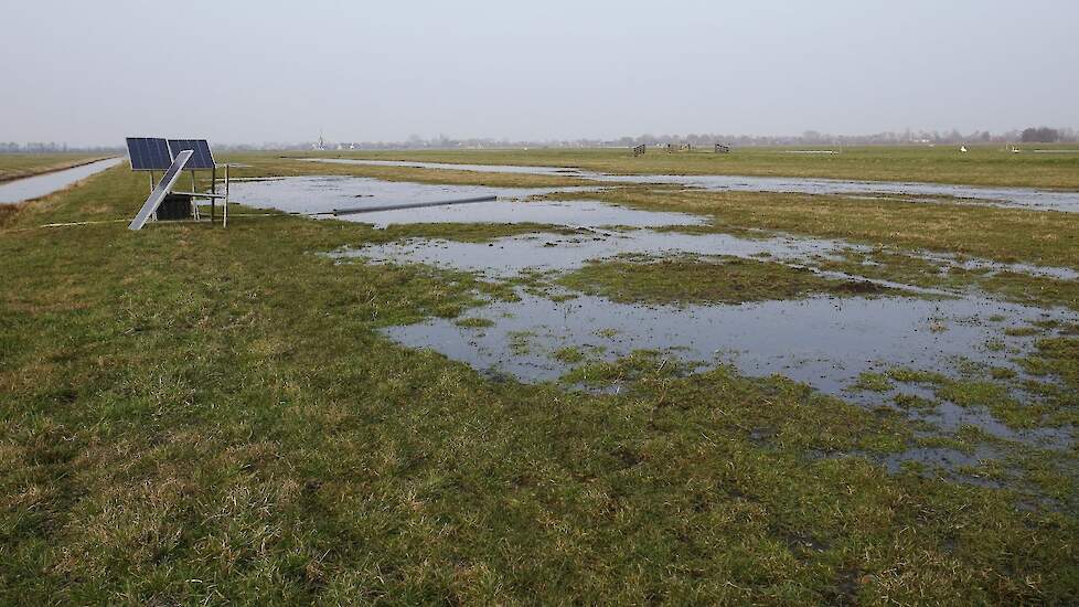 Plas-dras is in sommige gebieden een beheerpakket, maar wordt wel per boer beloond.