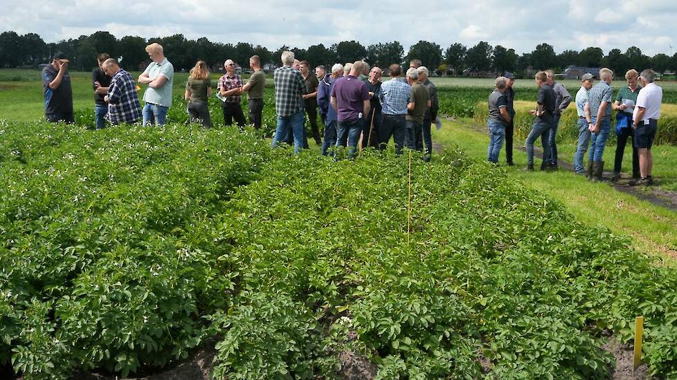 Telers bezoeken het perceel met AM-onderzoek van HLB