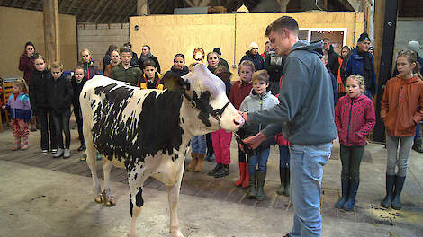 De organisatie van de Groninger Rundvee Show zet erg in op de jeugd. Bij de jurering van het jongvee staat het kind centraal.