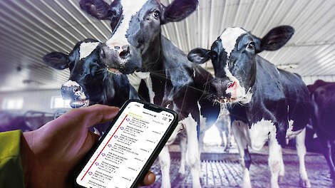 AI-gestuurd gezondheidsmanagement voor melkvee.