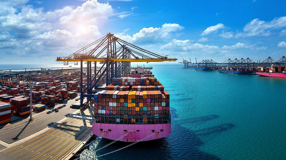 Een volgeladen containerschip in de haven van Abu Dhabi. De voorgestelde Amerikaanse importheffing van 25 procent op producten vanuit de EU kan de wereldhandelsstroom danig beïnvloeden, verwacht de Rabobank.