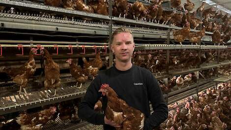 Opvolger Gerben en zijn vader Theo Bos willen de komende jaren bruine hennen blijven houden totdat de markt enkel om witte eieren vraagt.