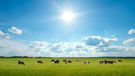 F-gas wetgeving en de gevolgen voor de koelindustrie