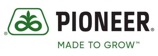 Pioneer logo