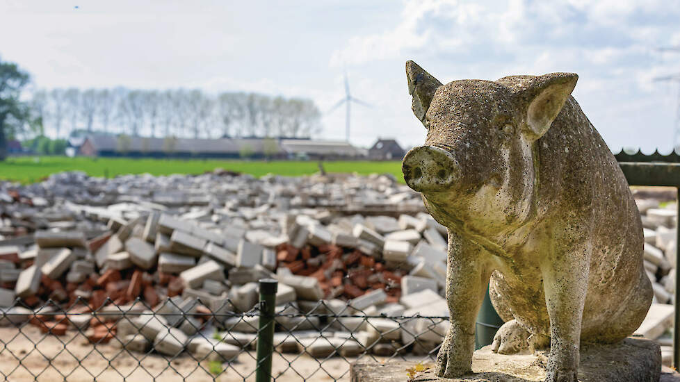 In wehl stopt de een naar de andere varkenshouder en sloopt vervolgens zijn stallen