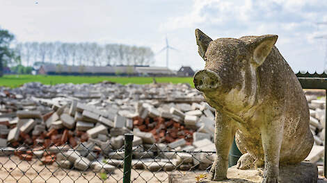 In wehl stopt de een naar de andere varkenshouder en sloopt vervolgens zijn stallen