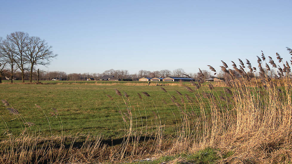 Niet iedere veehouder ziet de plannen voor een bufferzone van 250 meter als een positieve ontwikkeling.