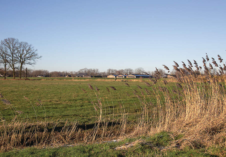 Niet iedere veehouder ziet de plannen voor een bufferzone van 250 meter als een positieve ontwikkeling.