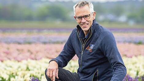 Klaas Hogervorst probeert de hyacinten van het familiebedrijf al dertig jaar met minder emissies te telen.