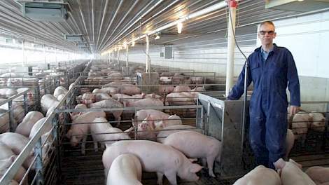 Meindert van den Hengel (53) heeft een vleesvarkensbedrijf met 5.000 dieren in Scott (Ohio). Samen met zijn gezin emigreerde hij begin 2008 naar de Verenigde Staten. Voor zijn vertrek had hij in Stolwijk (ZH) een varkenshandel met transport.
