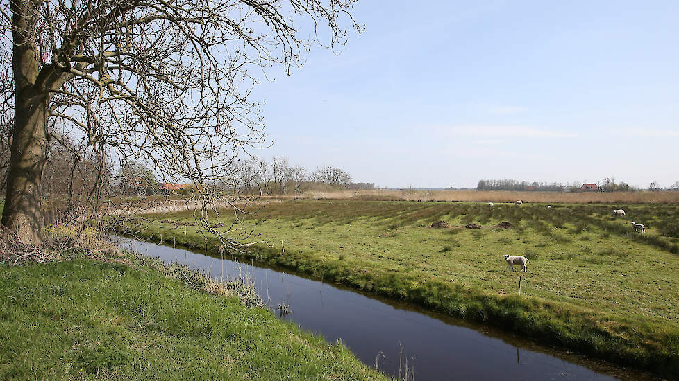 Gedeputeerde Matthijs de Vries (ChristenUnie): „Als in een gebied drie van de vier grondeigenaren niet onteigend willen worden, dan zetten we dat instrument niet in.”