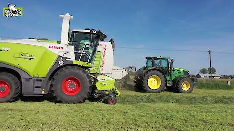Gras,gras,gras en nog eens gras eerste snede 2025