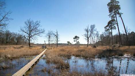 Een Natura 2000-gebied.