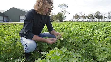 Een belangrijke proeftuin is de Experimenteerlocatie in Anna Paulowna, op het akkerbouwbedrijf van Klaas Schenk.