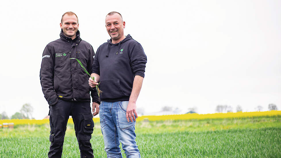 Tom Bosscher (links) en Otto Knottnerus telen een mix van baktarwes voor de productie van een 100 procent Nederlands brood. Vier telers in Oost-Groningen leveren het graan voor het Kipster Brood.