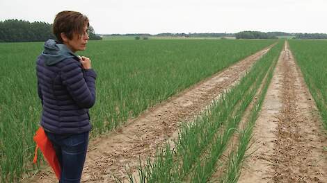 Onderzoek aan waterafspoeling met diverse maatregelen liep enkele jaren geleden op proefbedrijf Wijnandsrade.