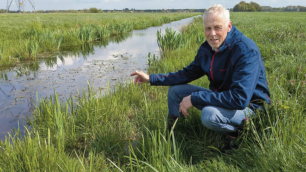 Melkveehouder Marc Verdoold laat een stuk sloot zien dat breder is geworden door de Amerikaanse rivierkreeft.