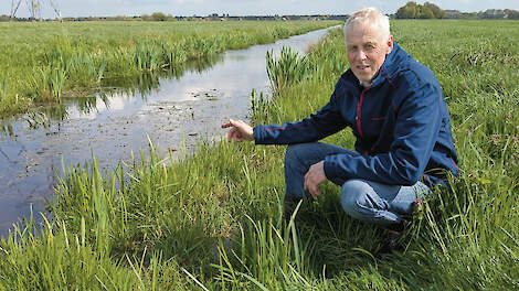 Melkveehouder Marc Verdoold laat een stuk sloot zien dat breder is geworden door de Amerikaanse rivierkreeft.