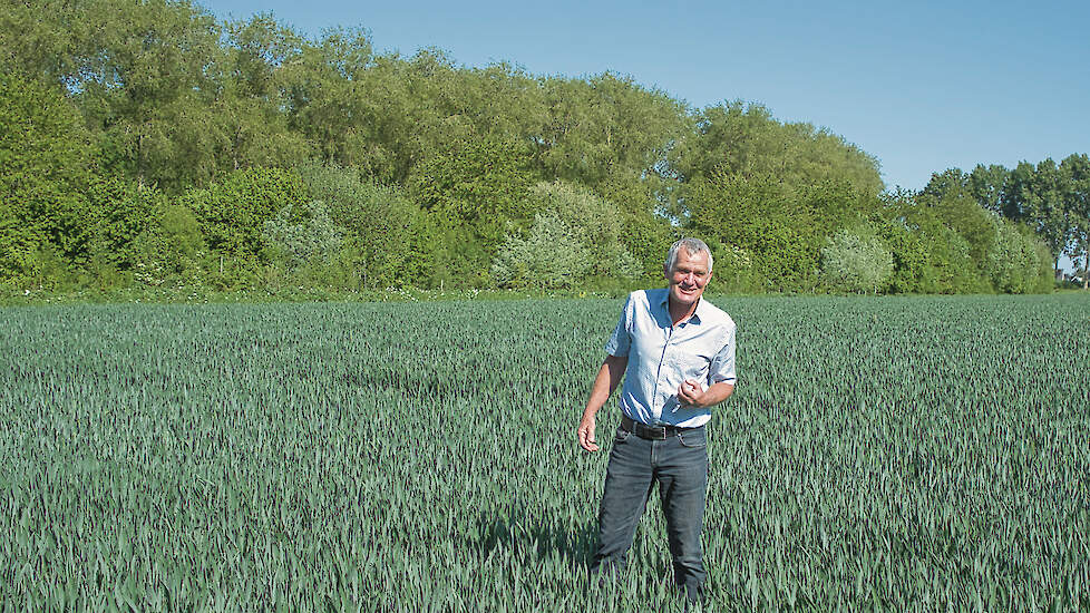 Johan Klompe, voorzitter van de adviescommissie van het Kavelruilbureau en akkerbouwer in Wolphaartsdijk.