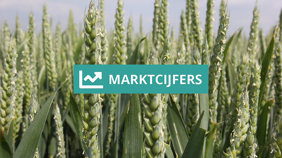 Marktcijfers akkerbouw