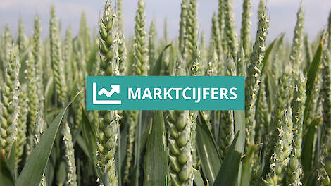 Marktcijfers akkerbouw
