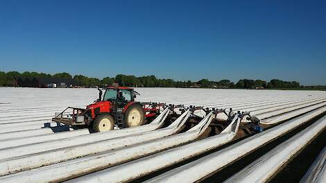 Teboza kiest voor Kubota trekkers in de aspergeteelt