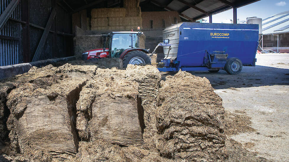 Oldenburger zet de kuilblokken voor drie dagen klaar. Hij koos voor een horizontale mengwagen vanwege het goede mengresultaat. Het rantsoen verandert eigenlijk nooit.