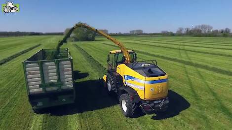 New Holland FR 700 in het voorjaarsgras