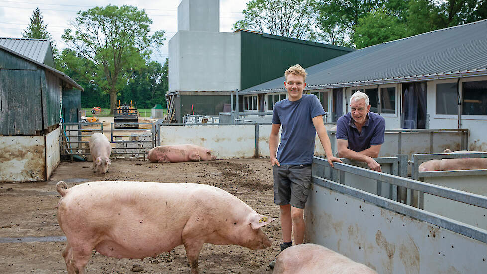 Bart Selman (21) en Bert Selman (62) tussen de dragende zeugen. Beiden helpen actief mee tijdens de renovatie op het bedrijf. Bart is niet de bedrijfsopvolger; dat is dochter Linsey.
