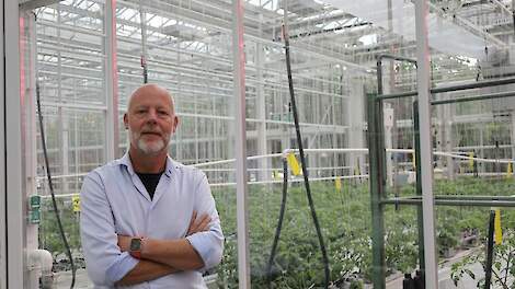 Peter Bouma
