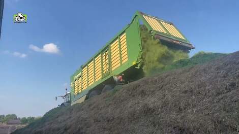 Dagje 2e snede inkuilen met Fendt 718 en Krone ZX 470 GD