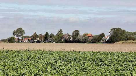 Pachtgrond bij Dinteloord