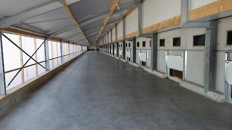 Er was onduidelijkheid over onder andere de looptijd van ontheffingen voor overdekte uitlopen aan vleeskuikenstallen voor het 1 ster Beter Leven keurmerk.