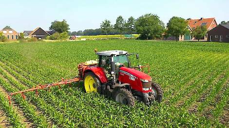 Tolkamp agri service uit Aalten gras onderzaaien in een maïsperceel