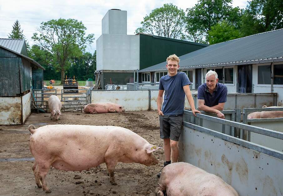 Bart Selman (21) en Bert Selman (62) tussen de dragende zeugen. Beiden helpen actief mee tijdens de renovatie op het bedrijf. Bart is niet de bedrijfsopvolger; dat is dochter Linsey.